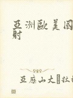 亚洲欧美国产内射