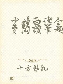 少妇白洁全文免费阅读笔趣阁