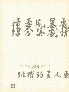 扫毒风暴剧情介绍分集剧情