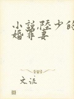 小说,陆少的隐婚罪妻