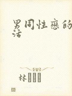 男同性恋的性生活封面