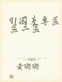 91国产专区一区二区