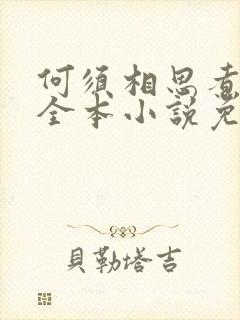 何须相思煮余年全本小说免费阅读