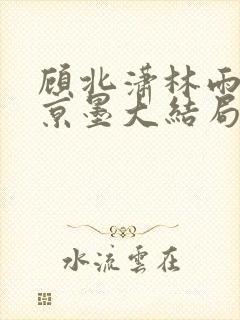 顾北潇林雨菲谢京墨大结局