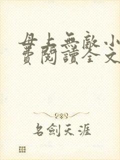 母上无敌小说免费阅读全文最新章节