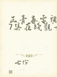 正青春电视剧47集在线观看免费封面