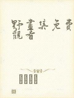 野画集免费在线观看封面