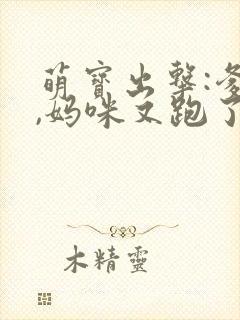 萌宝出击:爹地,妈咪又跑了封面