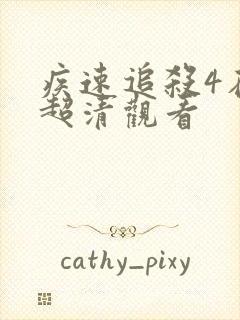 疾速追杀4在线超清观看