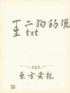 丁二狗的猎艳人生 txt