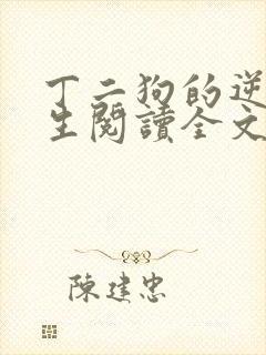 丁二狗的逆袭人生阅读全文全文