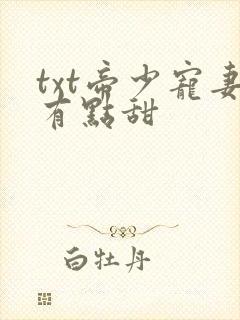 txt帝少宠妻有点甜封面