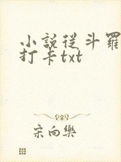 小说从斗罗开始打卡txt