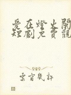 爱在灯火阑珊处短剧免费观看