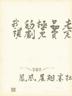 我的极品老婆电视剧免费完整版