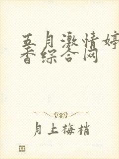 五月激情婷婷丁香综合网