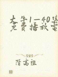 大牛1—40集免费播放电视剧