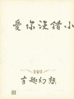 爱你没错小说封面