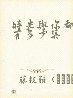 时光与你都很甜有多少集