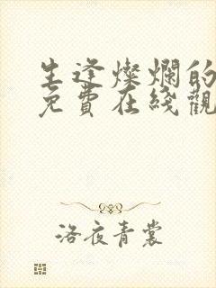 生逢灿烂的日子免费在线观看封面