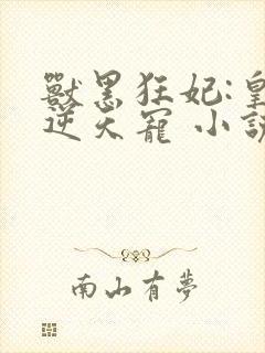 兽黑狂妃:皇叔逆天宠 小说