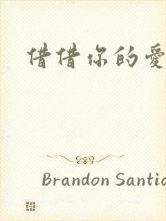 借借你的爱封面