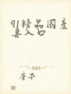 91精品国产人妻入口