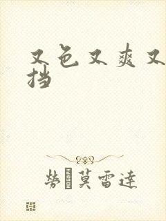 又色又爽又无遮挡