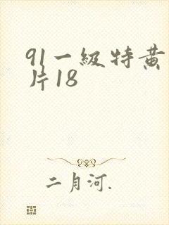 91一级特黄大片18