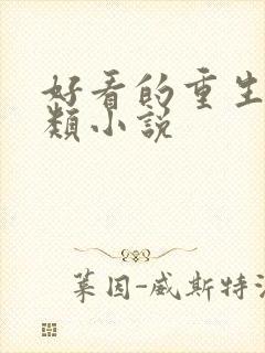 好看的重生穿越类小说封面