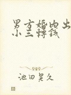 男方婚内出轨给小三转钱封面