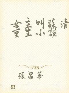 女主叫苏清婉的重生小说封面