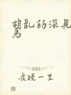 胡乱的深见君无马封面