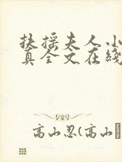 扶摇夫人小说柳真全文在线