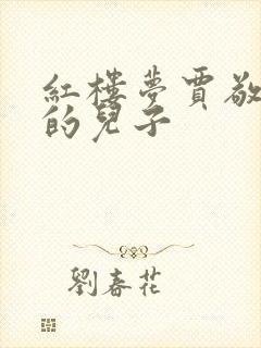 红楼梦贾敬是谁的儿子