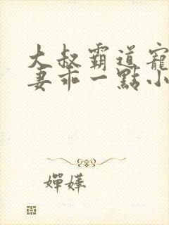 大叔霸道宠小甜妻乖一点小说封面