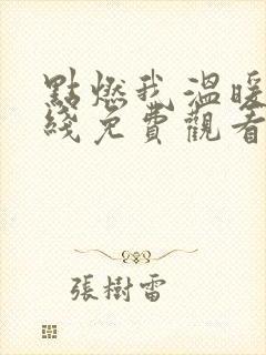 点燃我温暖你在线免费观看电视剧