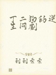 丁二狗的逆袭人生网剧封面
