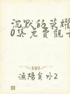 沉默的荣耀第40集免费观看