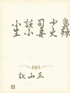 小说司少枭宠重生小妻火辣辣