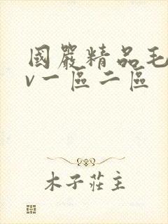 国严精品毛片av一区二区