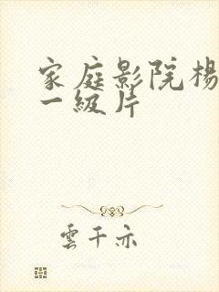 家庭影院杨贵妃一级片