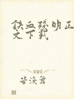 铁血残明正版全文下载