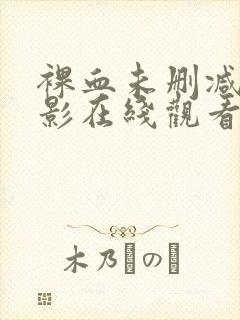 裸血未删减版电影在线观看封面