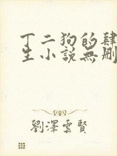 丁二狗的肆意人生小说无删减