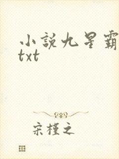 小说九星霸体诀txt