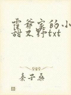 霍爷家的小祖宗甜又野txt