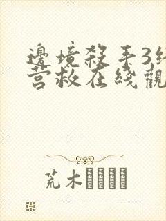 边境杀手3终极营救在线观看免费