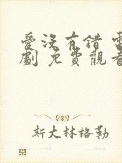 爱没有错 电视剧 免费观看