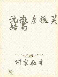 沈徵彦魏芙宜大结局封面